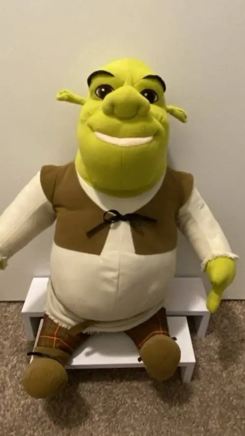 ai character: Shrek Evergreen background