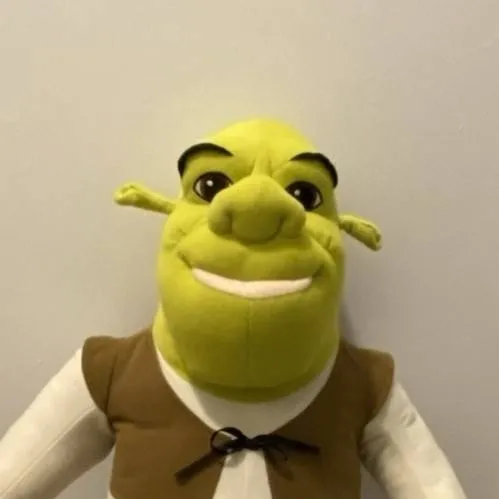 chat with ai character: Shrek Evergreen