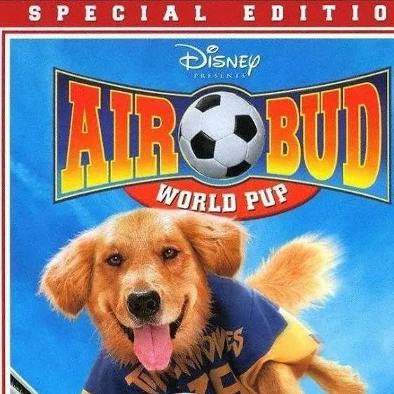 chat with ai character: Air bud 3