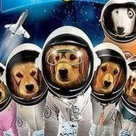 chat with ai character: Space buddies