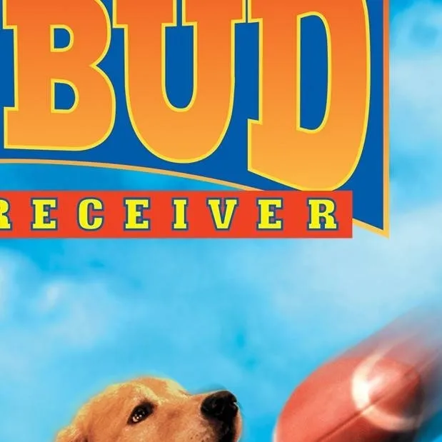 chat with ai character: Air bud 2
