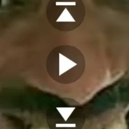 chat with ai character: 3rd grade ahh girl