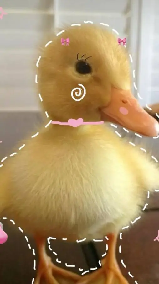 ai character: tu patito tierno  background