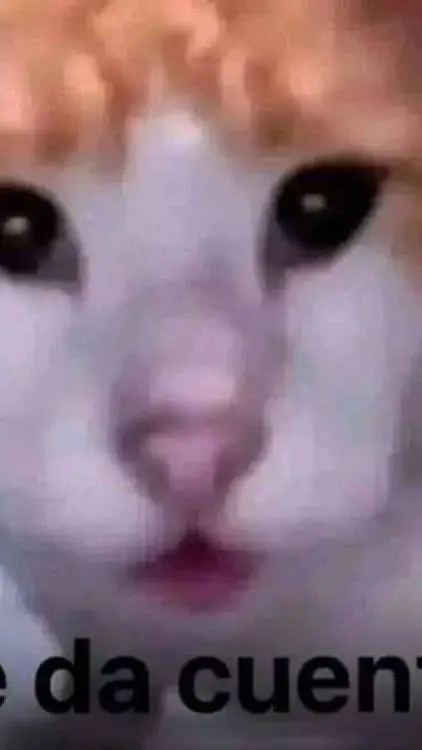 ai character: especial 100 subs background