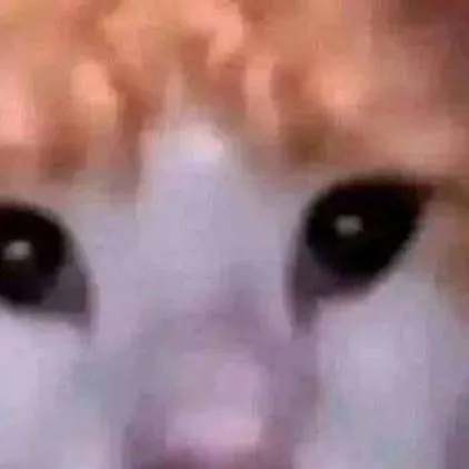 chat with ai character: especial 100 subs