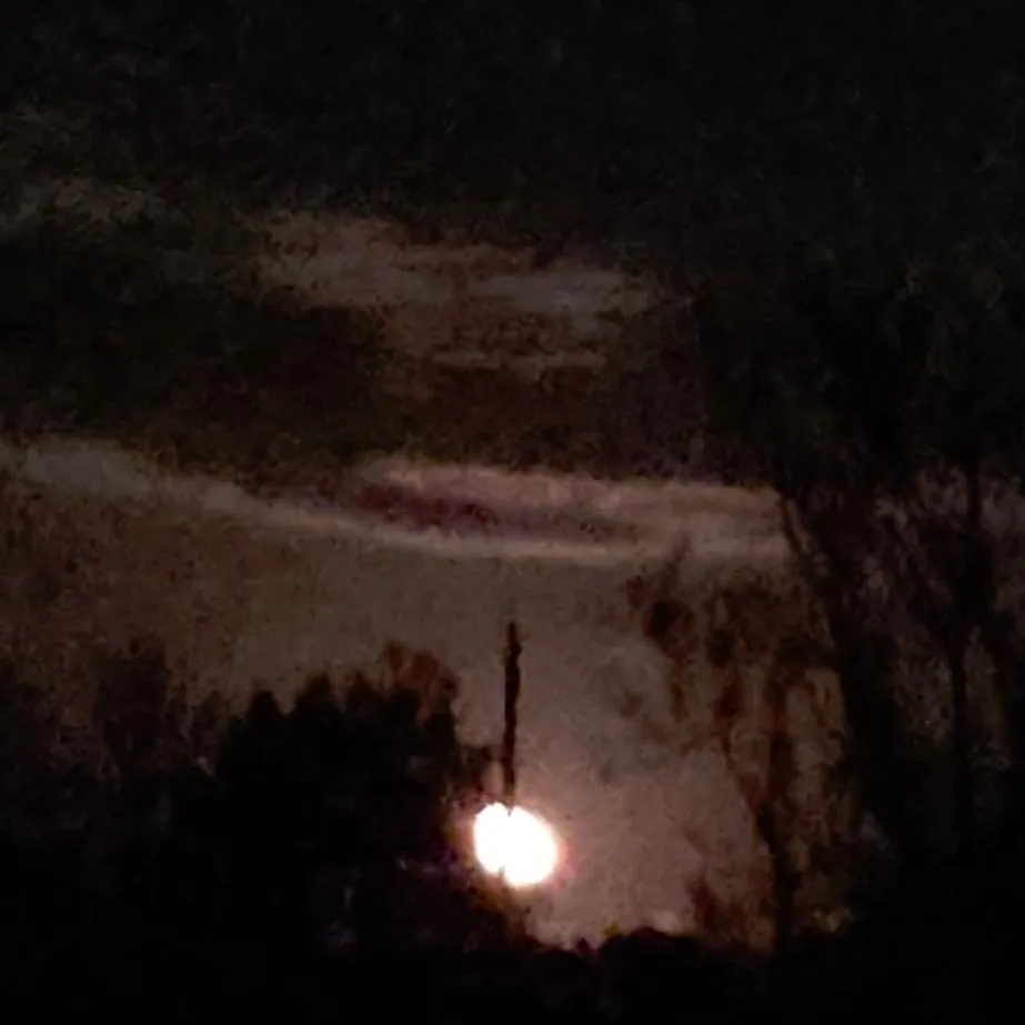 chat with ai character: The visitor