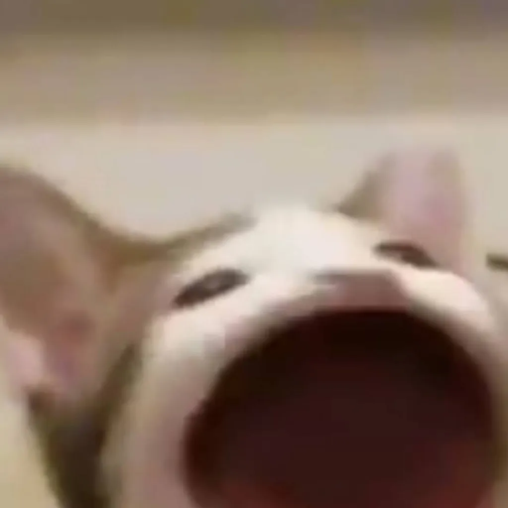 chat with ai character: Me