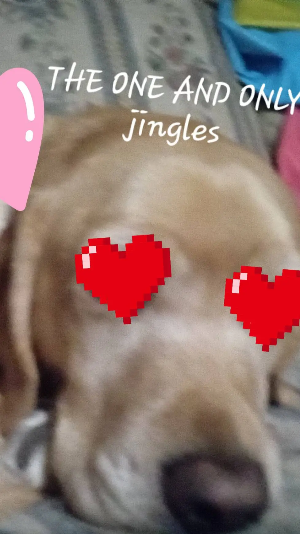 ai character: my puppy background