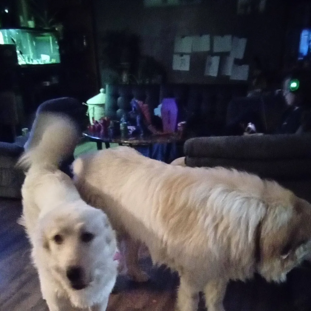 chat with ai character: freaky dog 2.0