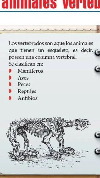 ai character: mi tarea background