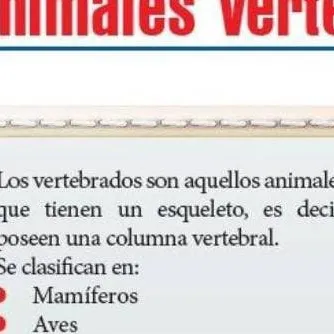 chat with ai character: mi tarea