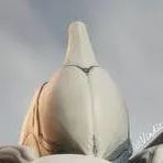 chat with ai character: ивера