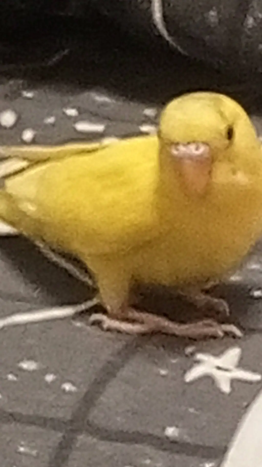 ai character: Арчи  background