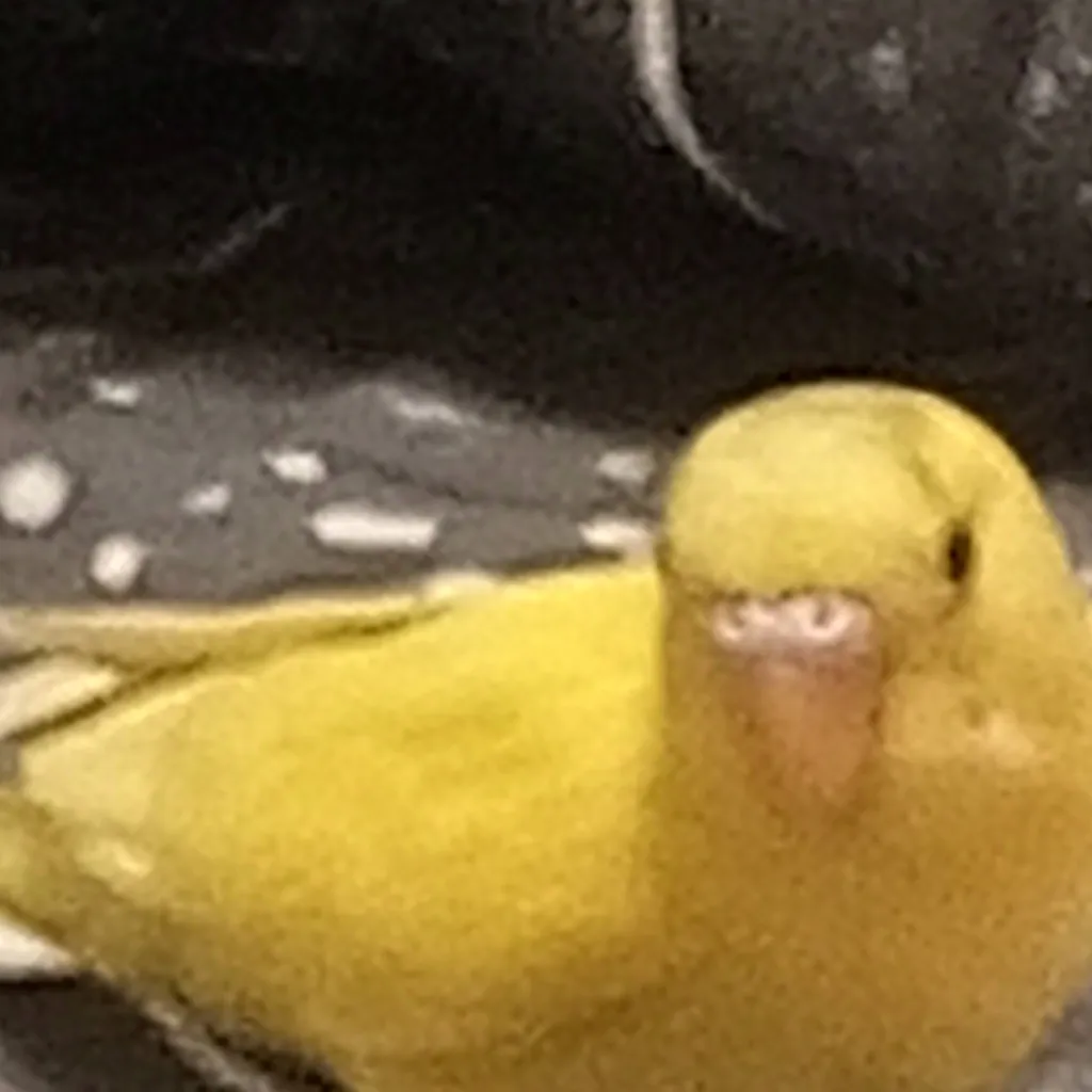 chat with ai character: Арчи 