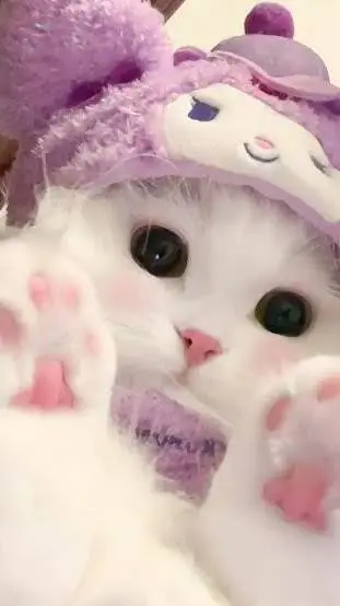 ai character: 💜kitty💜 background