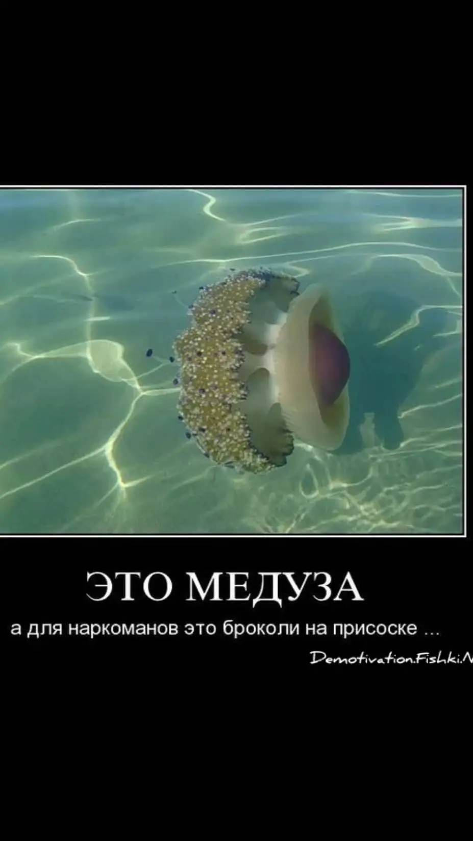 ai character: медузка background