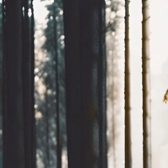 chat with ai character: Sprunki