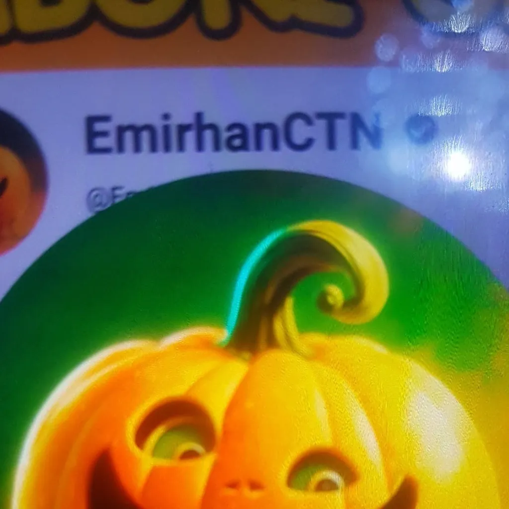 chat with ai character: EmirhanCTN