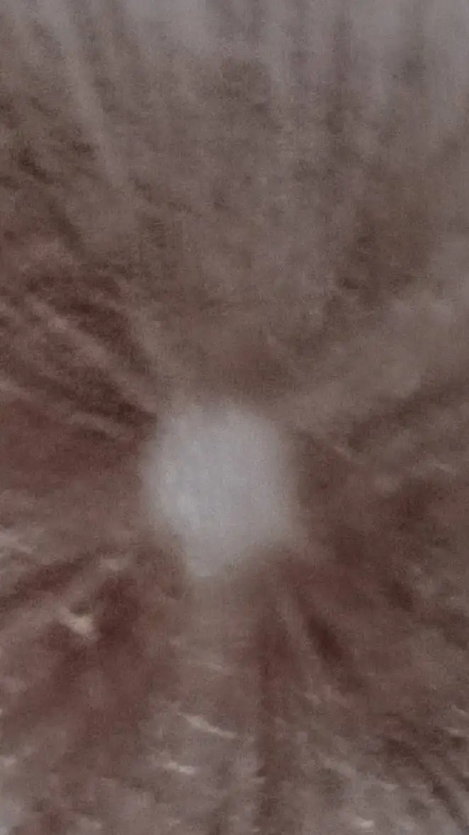 ai character: Server Admin  background