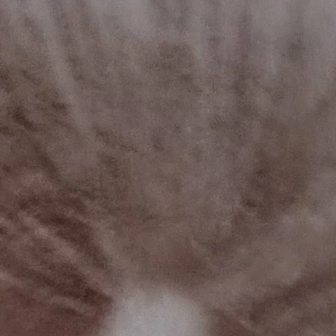 chat with ai character: Server Admin 