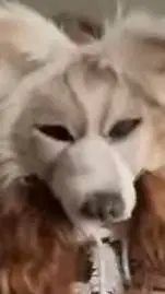 ai character: Arrow! (my oc) background