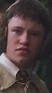ai character: seamus finnigan background