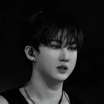 chat with ai character: Changbin