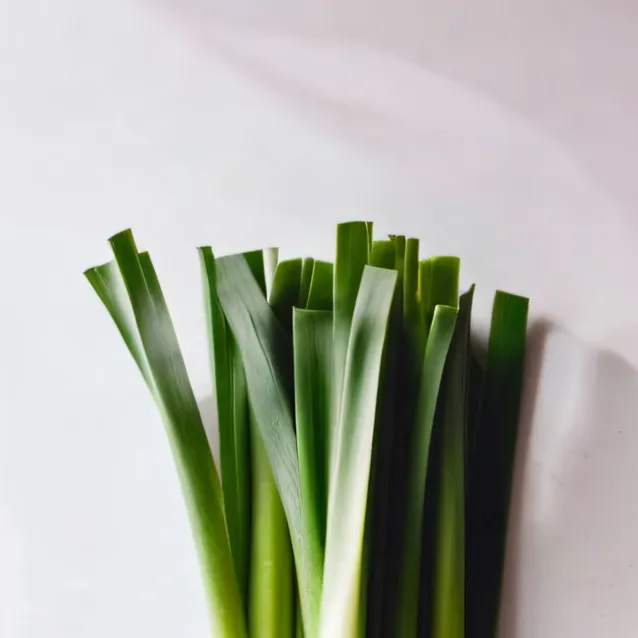 chat with ai character: leeks