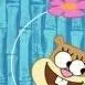 chat with ai character: Sandy Cheeks