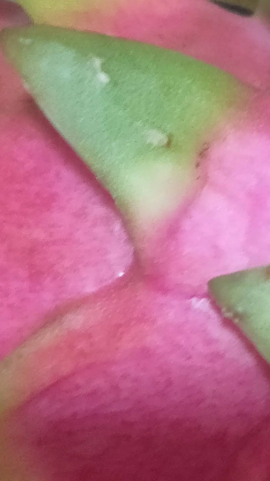 ai character: EEEeeeeeeeeeeeeeee background