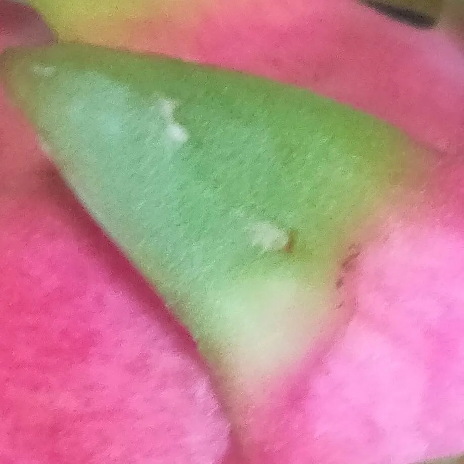 chat with ai character: EEEeeeeeeeeeeeeeee