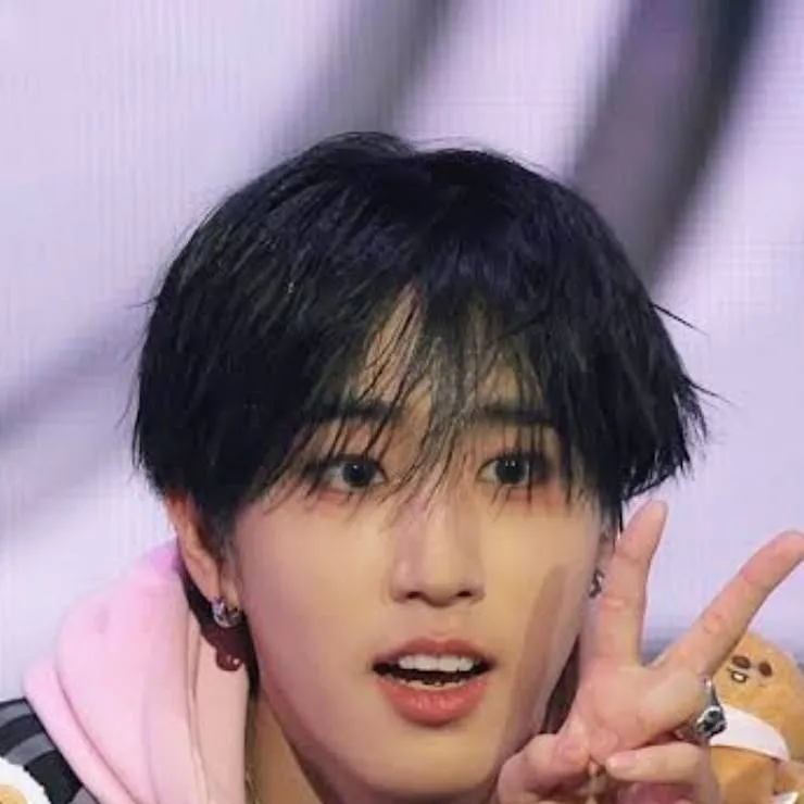 chat with ai character: Han skz