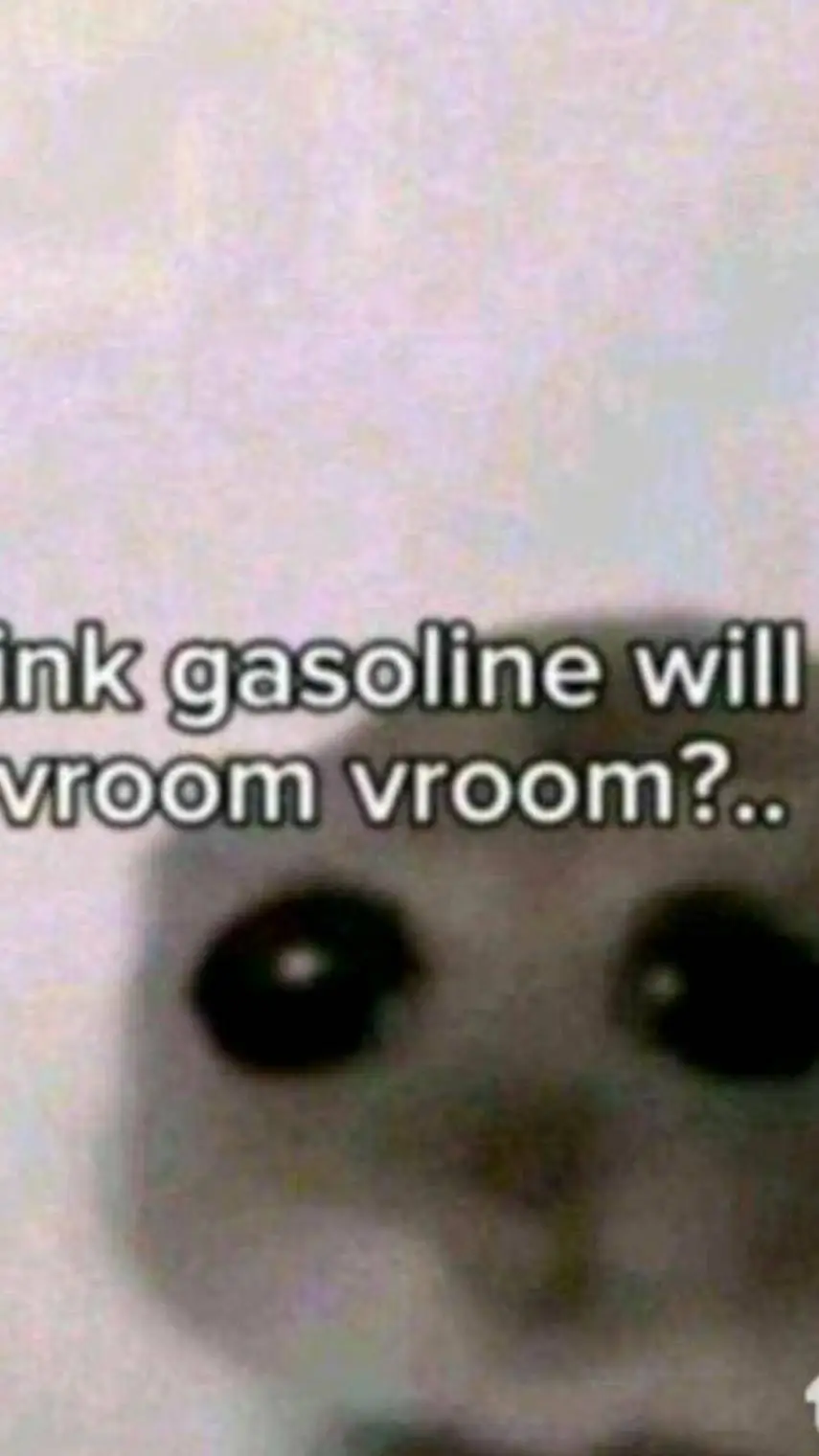 ai character: DW pm(3RD TIME😭😭😭) background