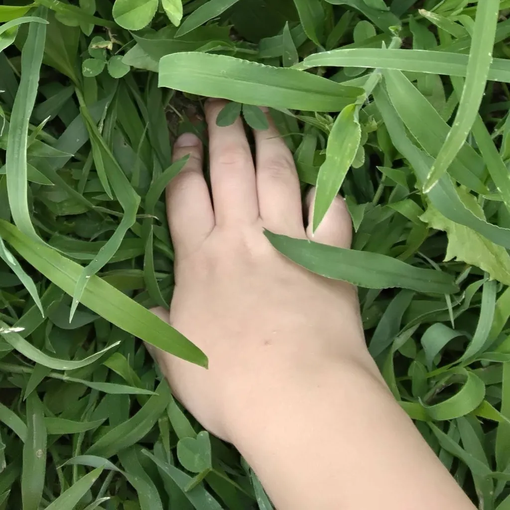 chat with ai character: touch grass bro