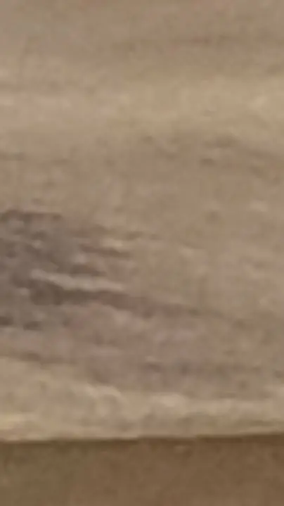 ai character: . background