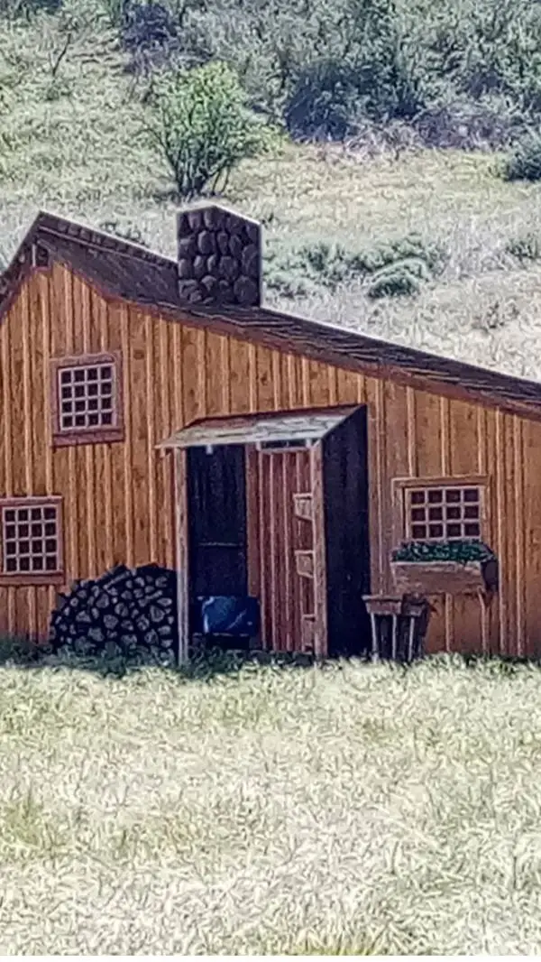 ai character: 1800s background
