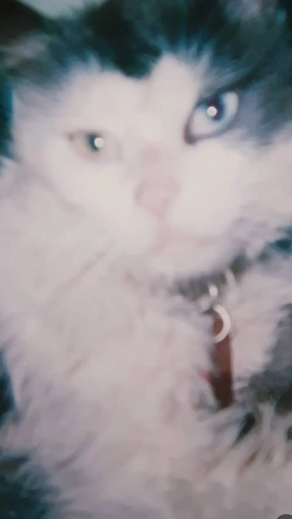 ai character: Seraphine background