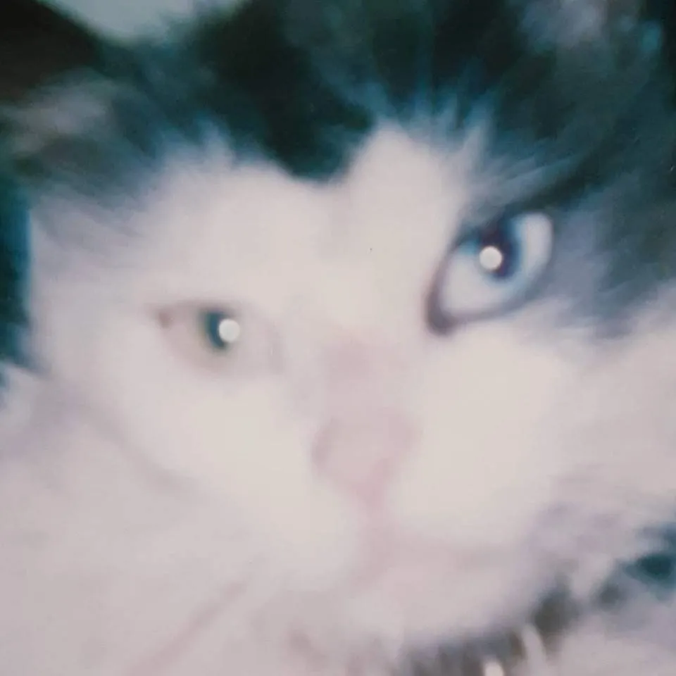 chat with ai character: Seraphine