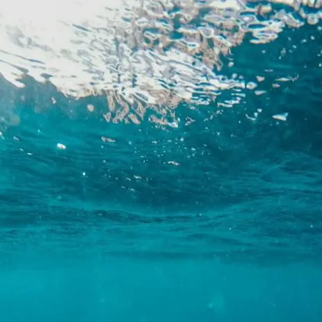 chat with ai character: boy kisser😼