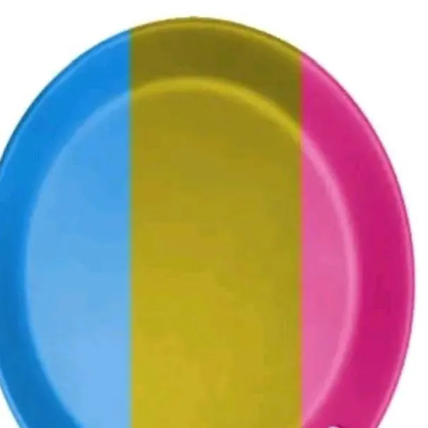chat with ai character: frying pansexual 