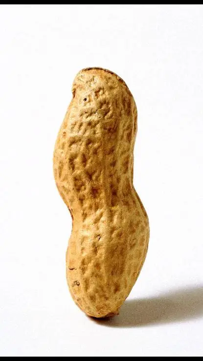 ai character: a goddamn peanut  background