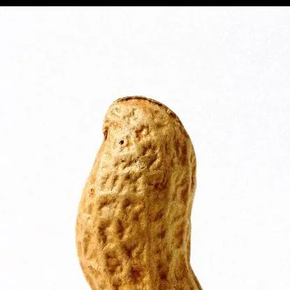 chat with ai character: a goddamn peanut 