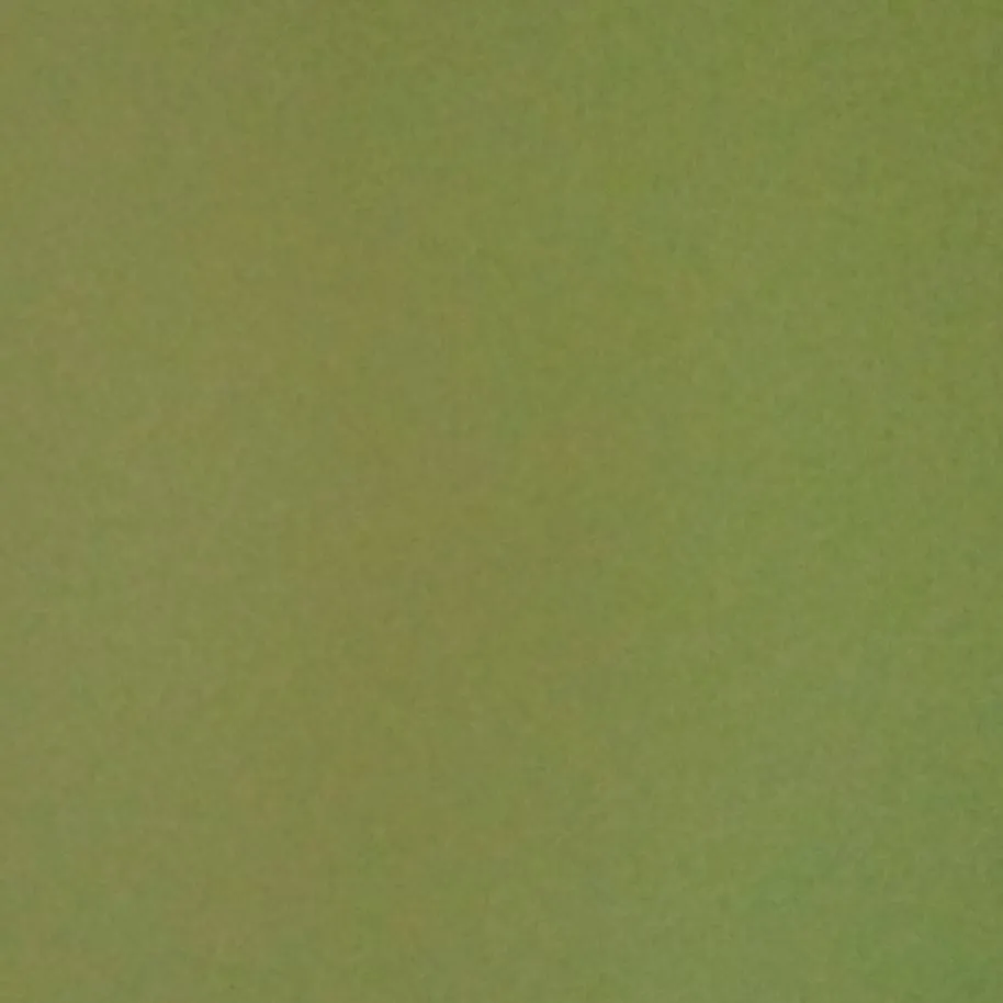 chat with ai character: Backroom