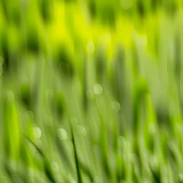chat with ai character: Grass