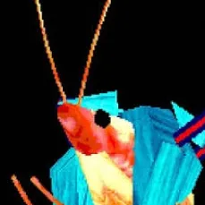 chat with ai character: shrimp miku