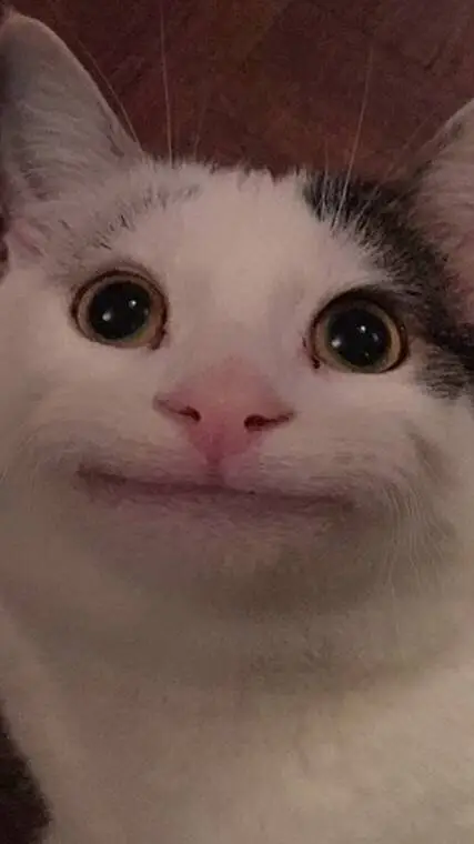 ai character: Белуга background