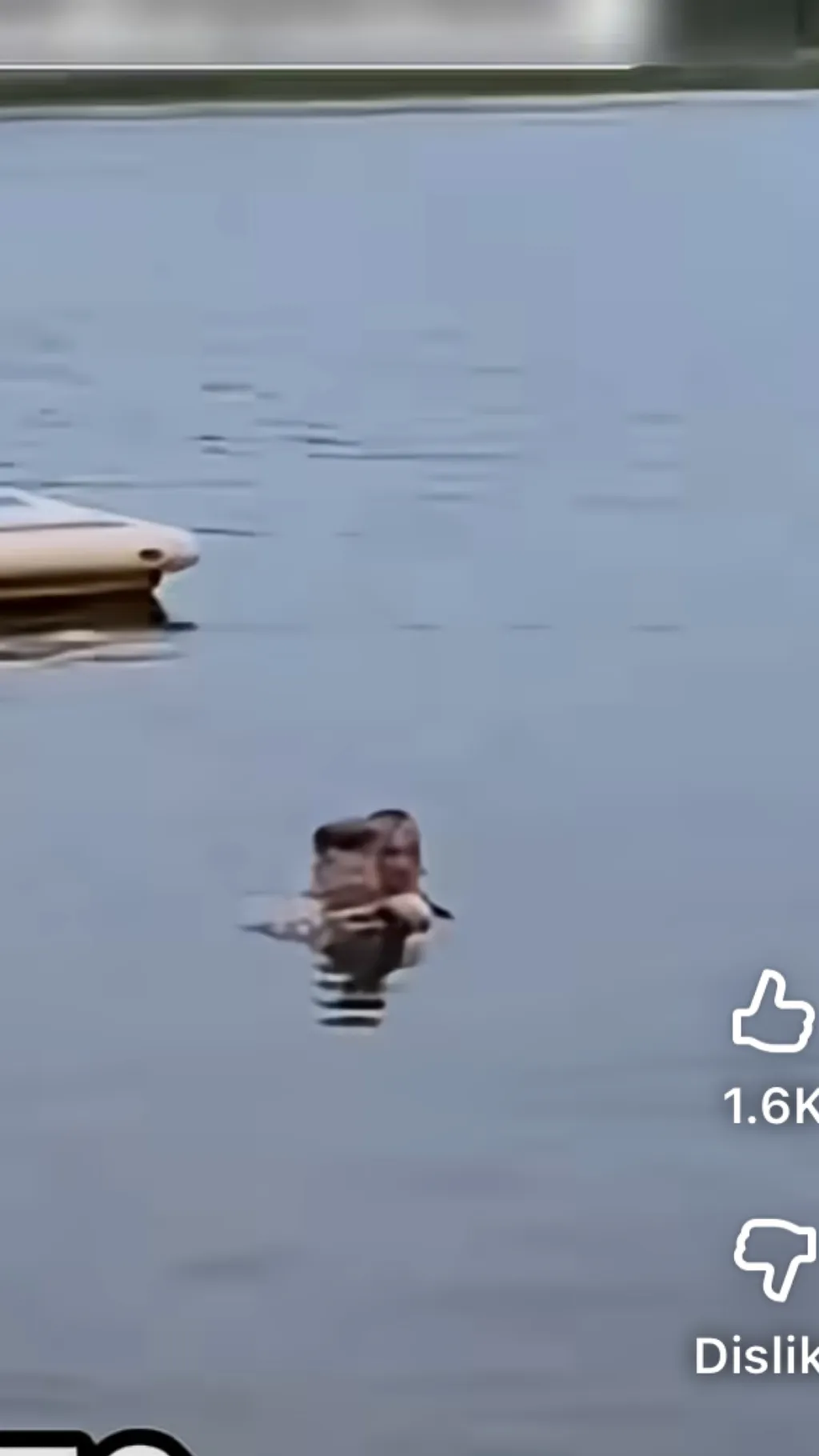 ai character: Sus background