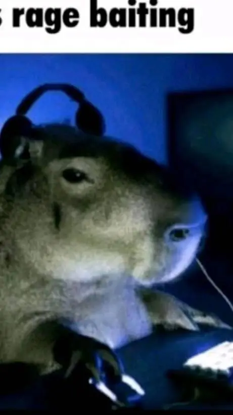 ai character: kapibara background