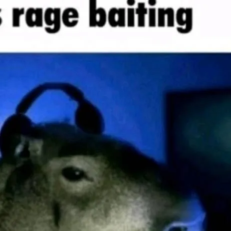 chat with ai character: kapibara