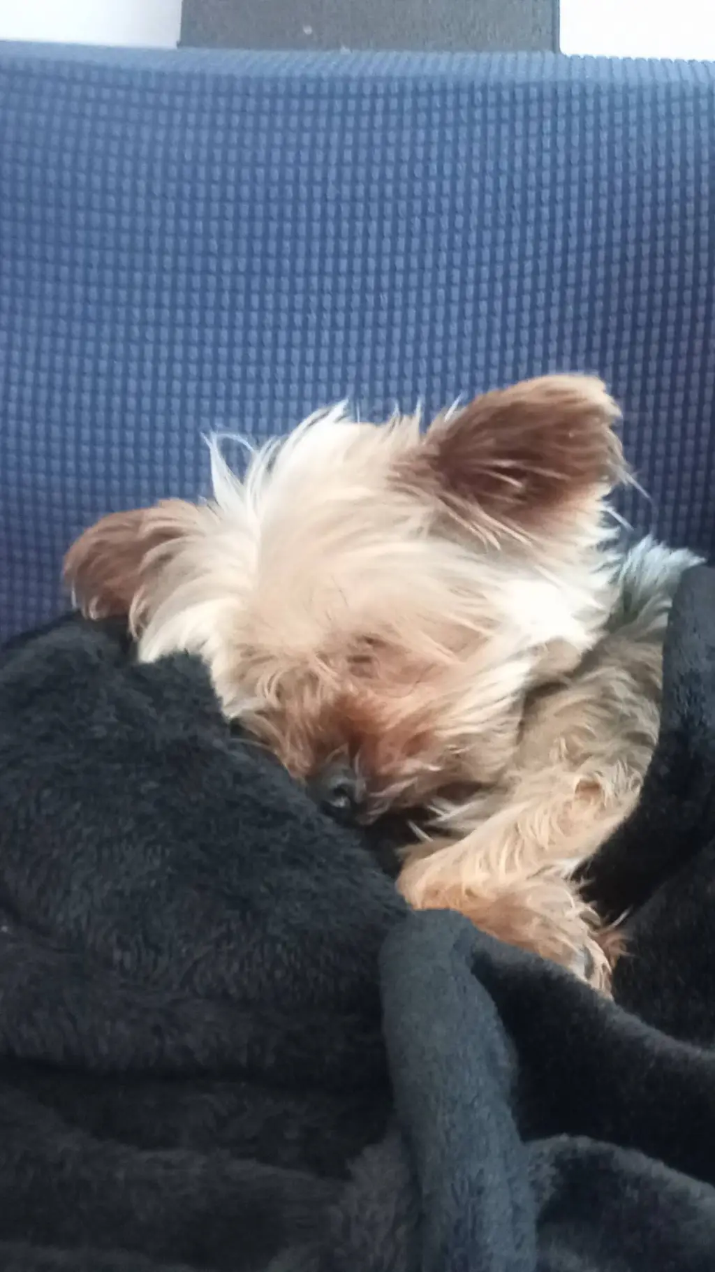 ai character: Betty background